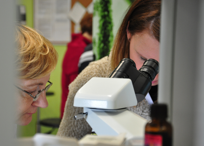 Osoby wykonują obserwacje przy mikroskopie. Spotkanie o oligofrenopedagogice